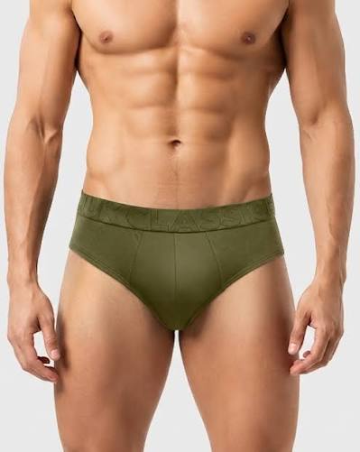 Briefs